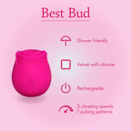 Best Bud 🌹 Rose