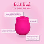 Best Bud 🌹 Rose