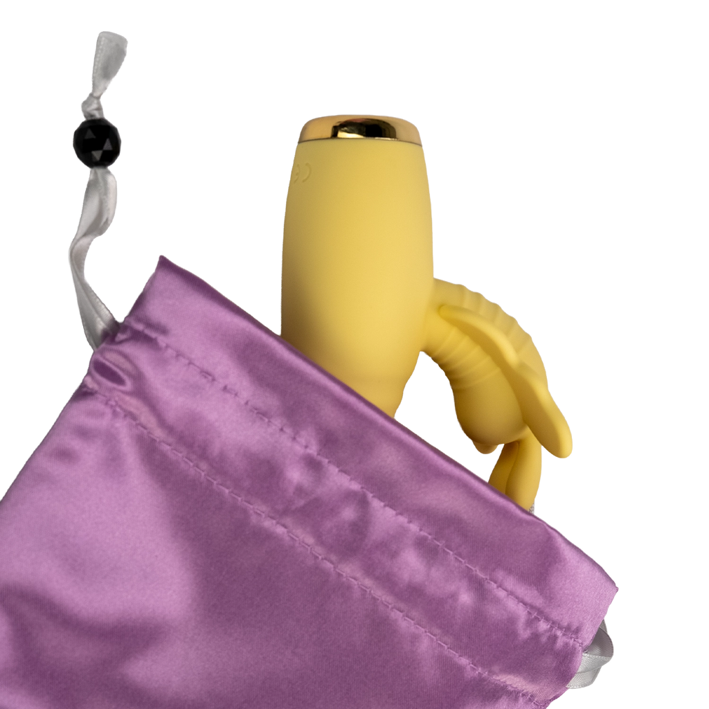 Pleasure Tote – Pink Toy Storage Bag